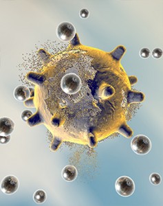 Destruction of a virus by silver nanoparticles. An illustration